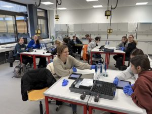 Foto der Schülerinnen und Schüler in den Räumlichkeiten der IGS Nelly Sachs beim Experimentieren im Mobilen Genlabor.